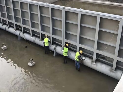 对于跨流域调水工程，液压坝如何优化水资源的调度？整体外观 | 液压驱动 | 液压坝整体结构展示